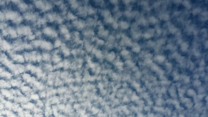 季節外れの鱗雲