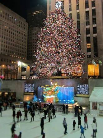 世界一のクリスマスツリー